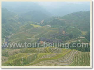 Guilin Longsheng Yangshuo 4 Day Tour